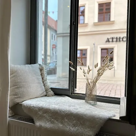 Super Zentral Mit Parkplatz, Fenster Verspiegelt Daire Pirna