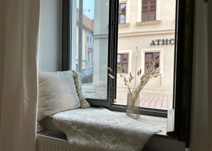 Super Zentral Mit Parkplatz, Fenster Verspiegelt Lägenhet Pirna